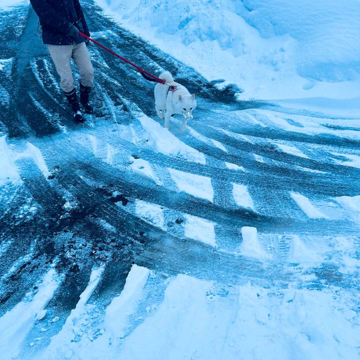 C741508c 9d2e 4491 9889 9dd1ee1026dc 1705449323943