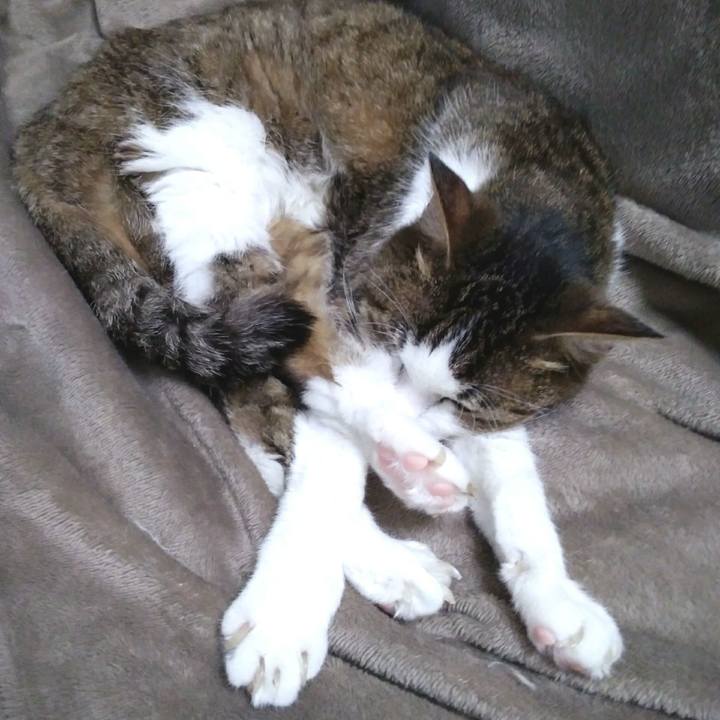 C74165da 685a 4c2a a249 0da0a3bca823 1552309181962