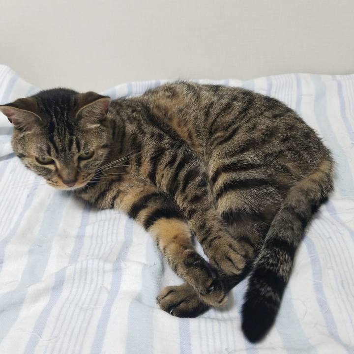 C7416ee2 e0b9 4ede a5f6 7d8929f52117 1593944826891