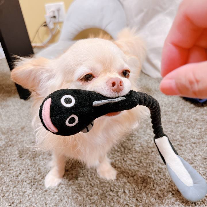 C741ee77 ba49 4ed3 97aa f2b4ecbea87a 1653477020476