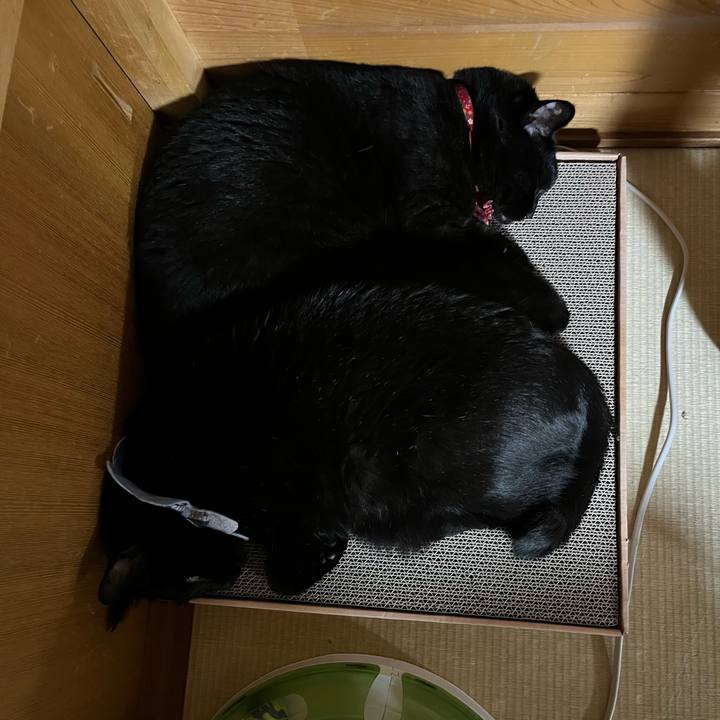 C74216b4 6508 4c34 9bb8 f1396bea6175 1714660364791