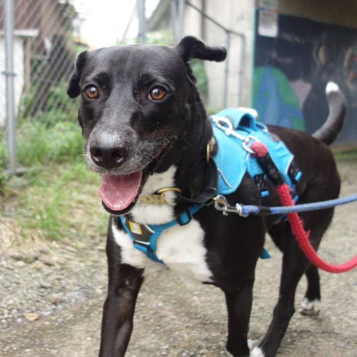 C7421f71 4690 40b2 af5e d1937fbc6fec 1630974518831