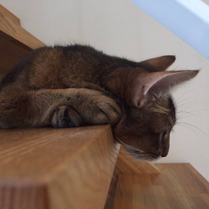 C7427a7a 7fe3 4976 b055 01097315b87f 1565310855054