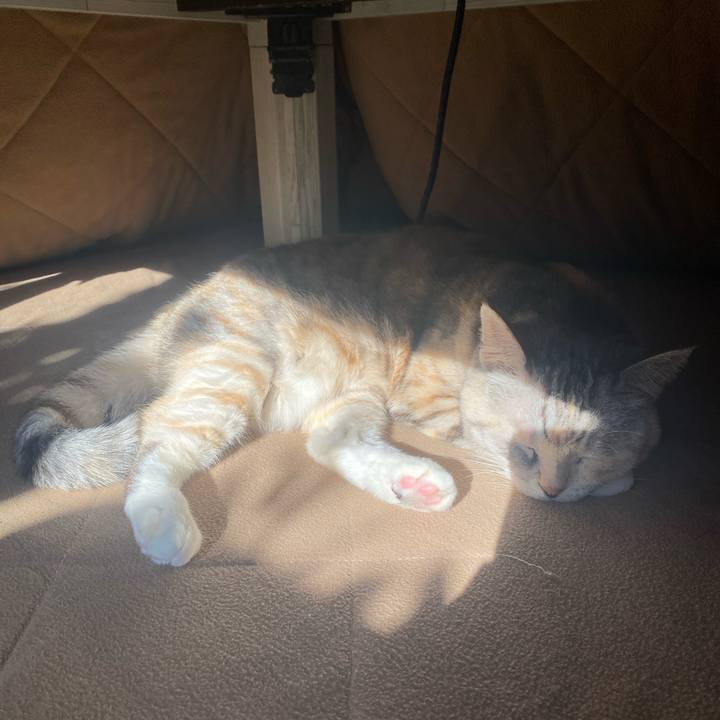 C742903c 37d1 4fdb a9f1 15867f72530b 1734138022182