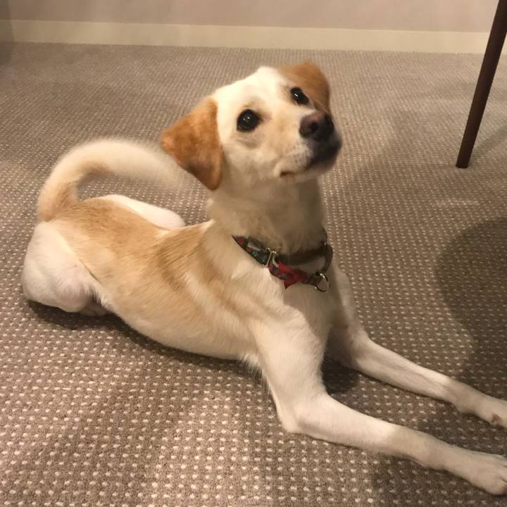 C7433a8f 2499 4569 a5c5 96f506eac633 1532521762414