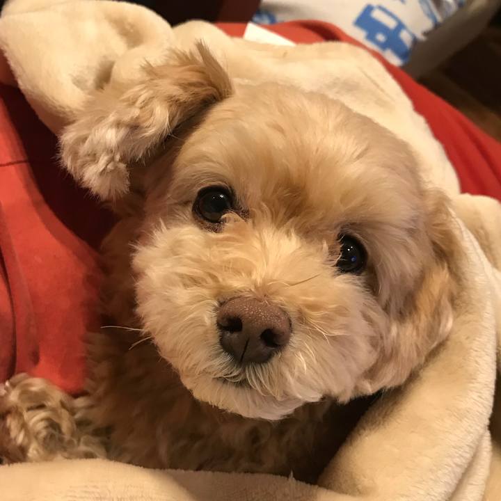 C7435c67 5a4e 47f2 bae9 c72a81ba0c28 1519607594434