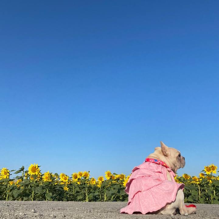 C743b007 8bc6 4c9b b3fe 50f3aff5f262 1636320806715