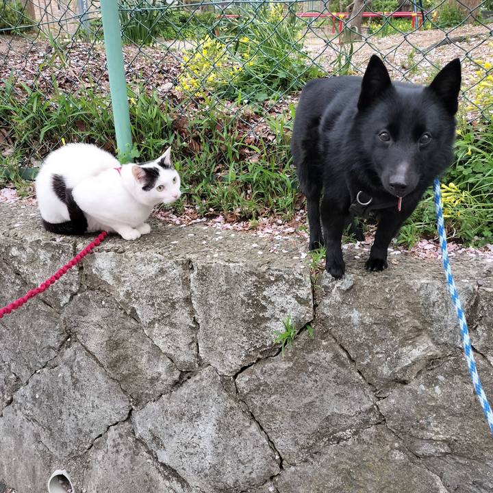 C743b46b cf12 4374 a7a4 0d91dd8b6928 1712830125119