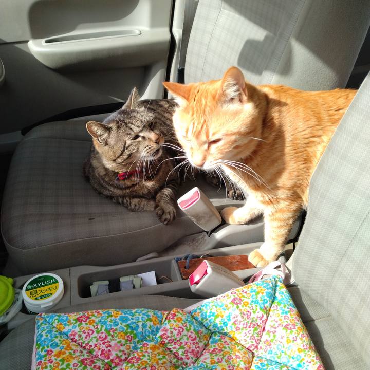 C743b671 3346 4ed5 8364 15e549a75b81 1681453666421