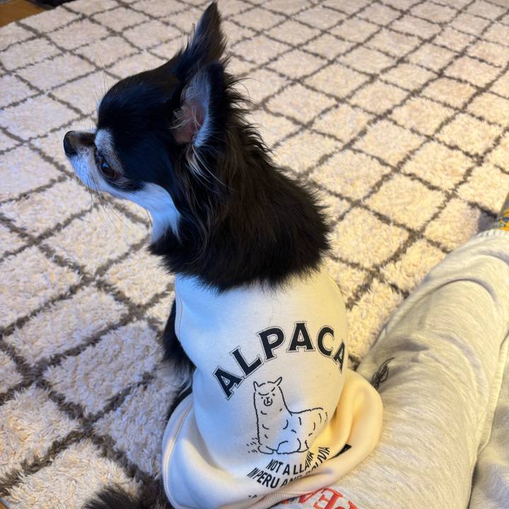 C743bc76 aabb 423a 9d54 2559e5bc7d4d 1740932740938