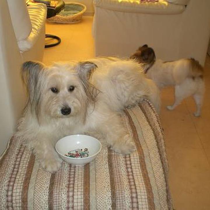 C7441ab0 3d3c 4cb7 8f50 fa2d36a36b04 1521099738586