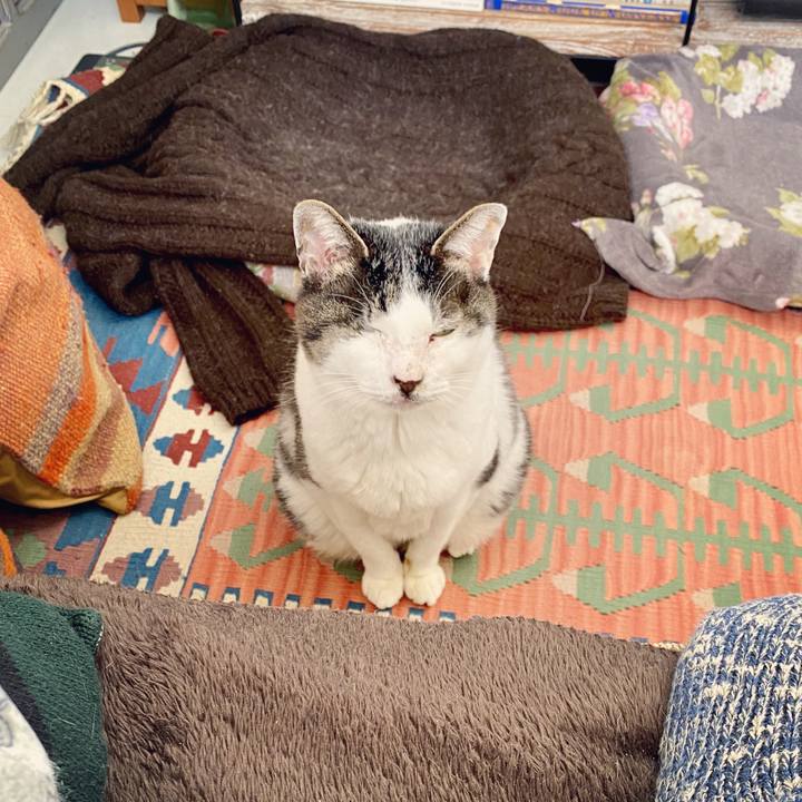 C74420c9 5c16 4179 9b36 85fbe08eaf8e 1585901744049