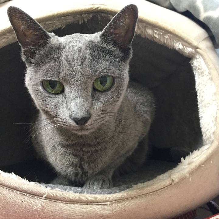 C7444073 f0c6 45fa 8feb 8d5131a01739 1539559385057