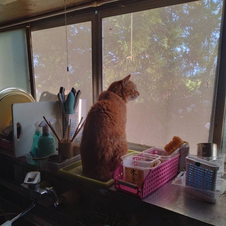 C74459e1 a0c0 400f bcec 91002587f597 1753998192907