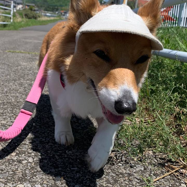 C7446859 9562 4853 9a19 1306785a1c73 1681621890454