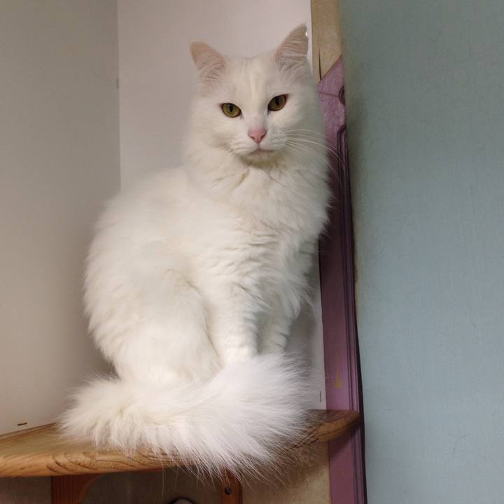 C744688b b9f1 4f6c b250 4a19946e4908 1513817197276