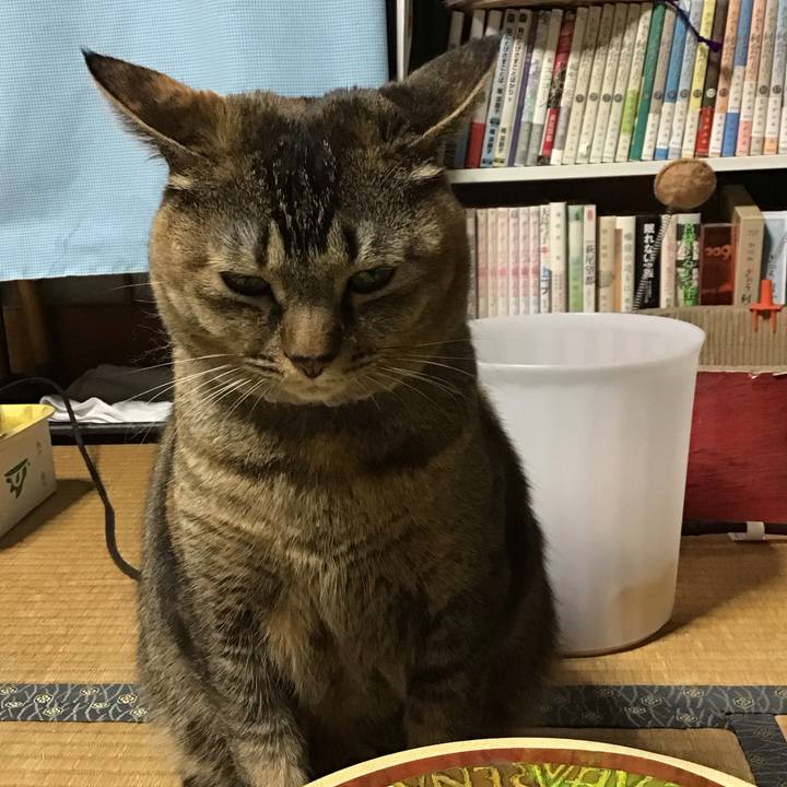 C7446d25 0e63 4231 afa3 37d3ecbc5060 1674732595028