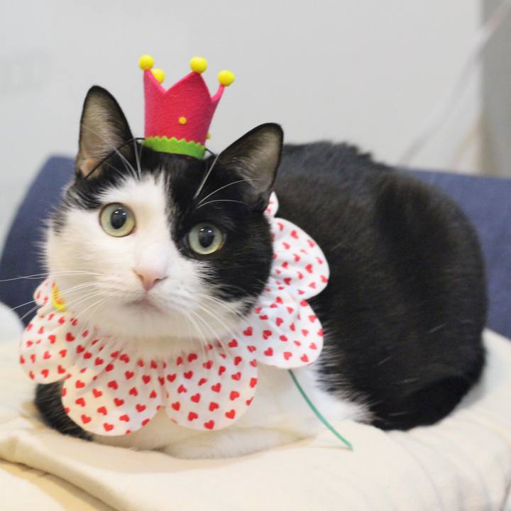 C7447226 9d13 44fb 8ec7 f3ee53206580 1582329372455