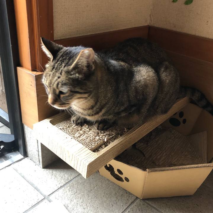 C744b61b a1ee 4552 a232 7f706c2d3feb 1603090891714