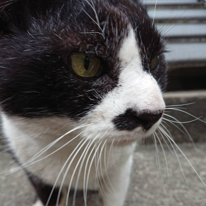 C744ba97 05fe 4f57 b314 d819e00ce7a0 1647156086146