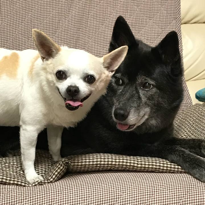 C744fec6 8ade 4417 9fcc 4e946aea28c2 1531575932227