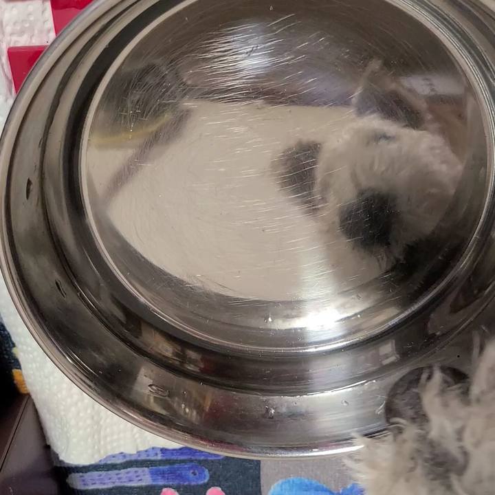 C7450247 f1cc 477f 9a8b 7509d527541d 1681340592650