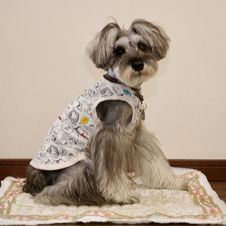 C7450b75 d823 42db 906b cd5e5f3a8489 1719477206193