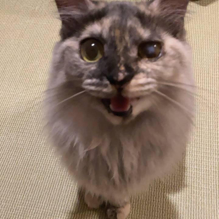 C7456602 a233 4a63 896a 66073e721948 1729593799518