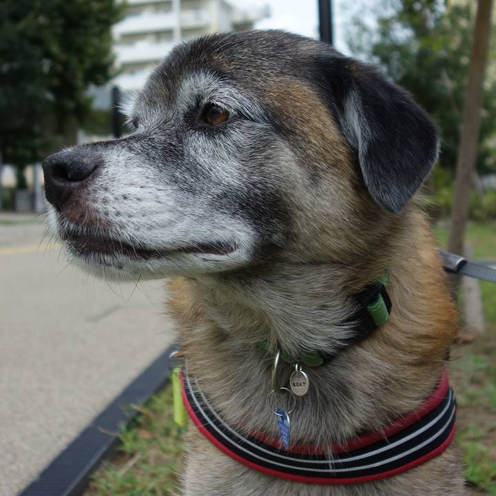 C7457c4e 91f3 466e 99c5 380beed5d83d 1537320080152