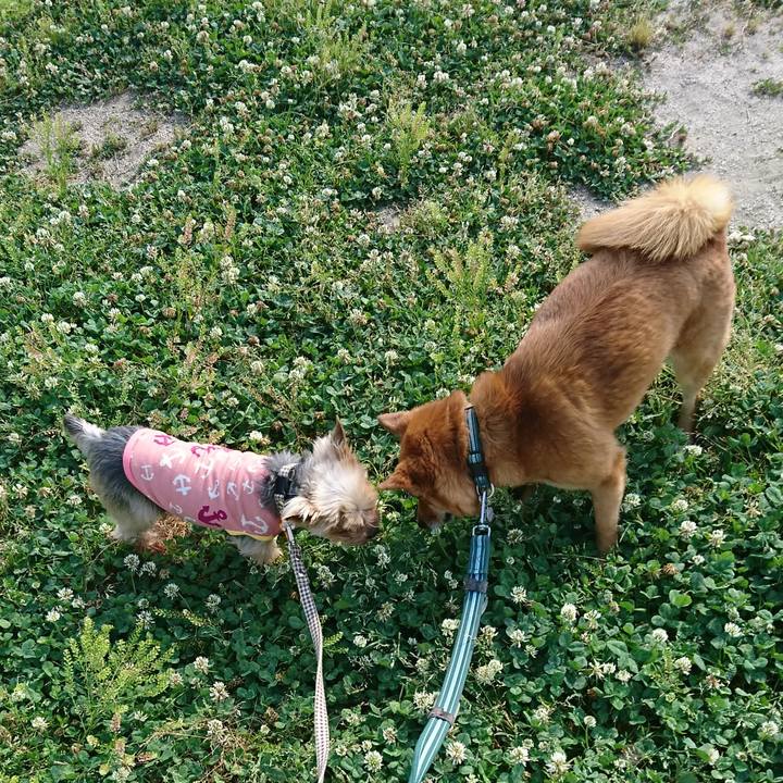 C7458714 efa8 4566 a8d0 a85178793aaa 1527982244411