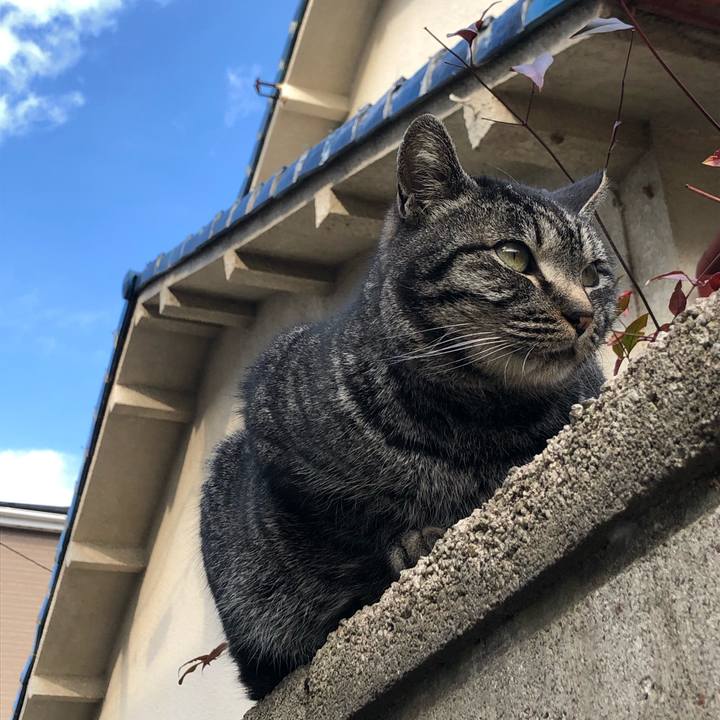 C7458f03 d752 4527 b014 df53e7f0fc34 1614438400399