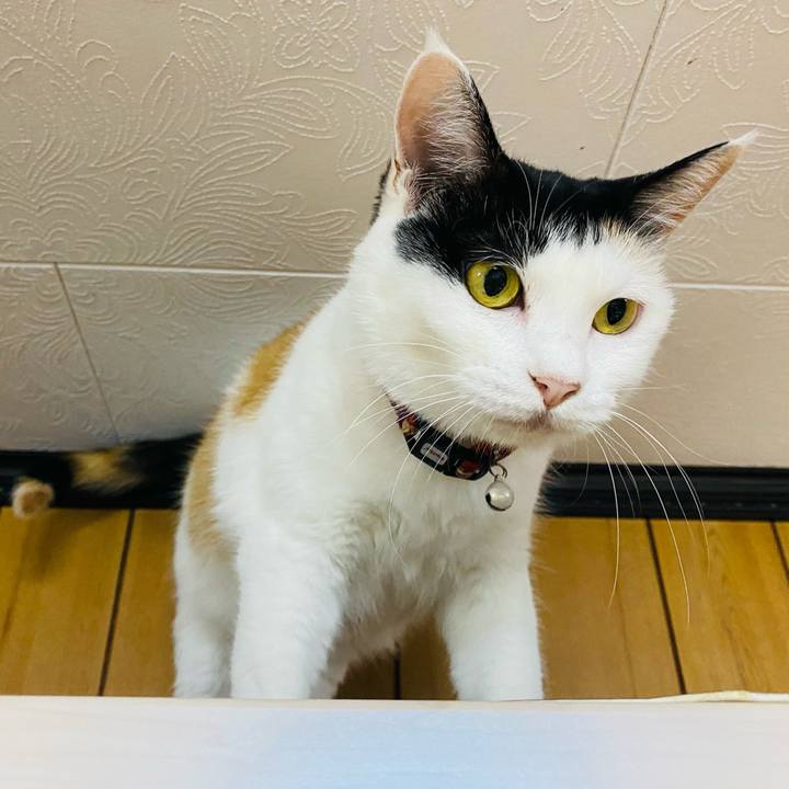 C74594ca ee50 455b 8503 001431f607a5 1661807180123