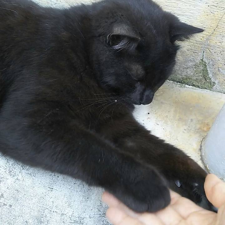 C745a55d fbf2 4a03 a998 bc5ca897eb22 1557895987278