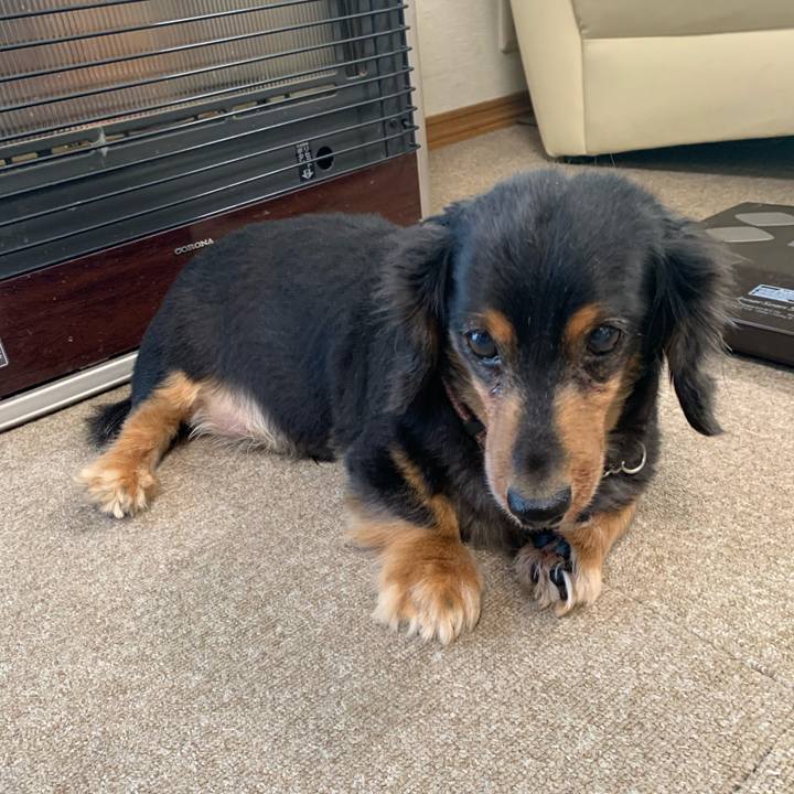 C745e92d cb71 4ea9 b235 638c8124e49c 1603921907603