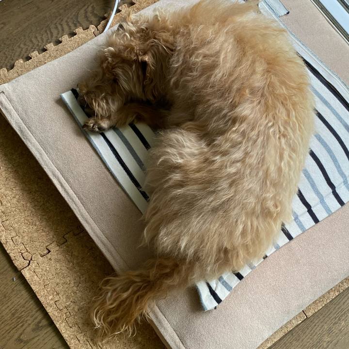 C7460511 209a 4f47 9673 afae3b11eefb 1687389011090