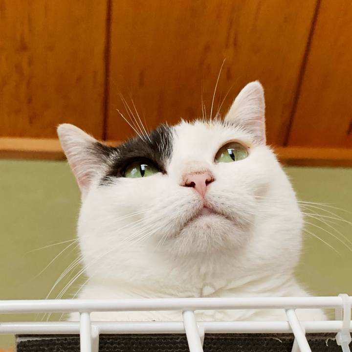 C746061b 1b20 4b89 b672 2e5dadc771b7 1597717662321