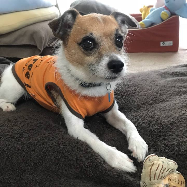 C7460aff fa80 4cd0 b77e 78ae58b36f95 1534022627242