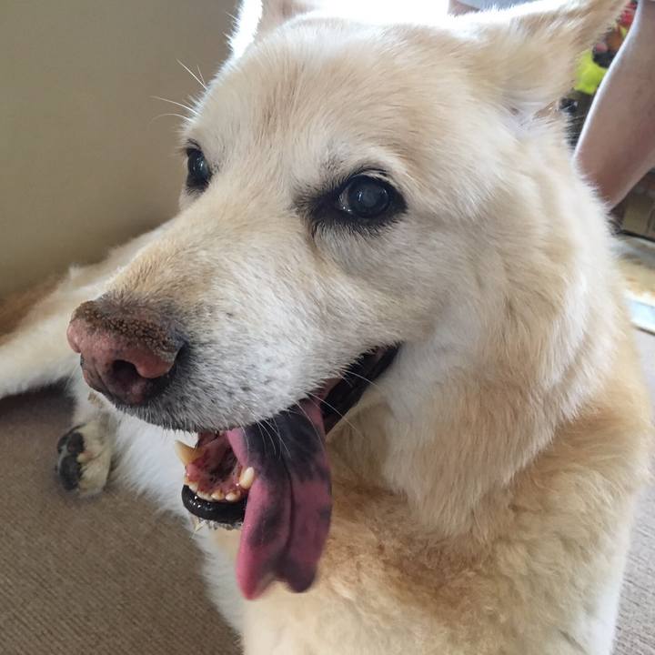 C7462464 31a5 4df4 b042 d1ba240b39cd 1628011269738