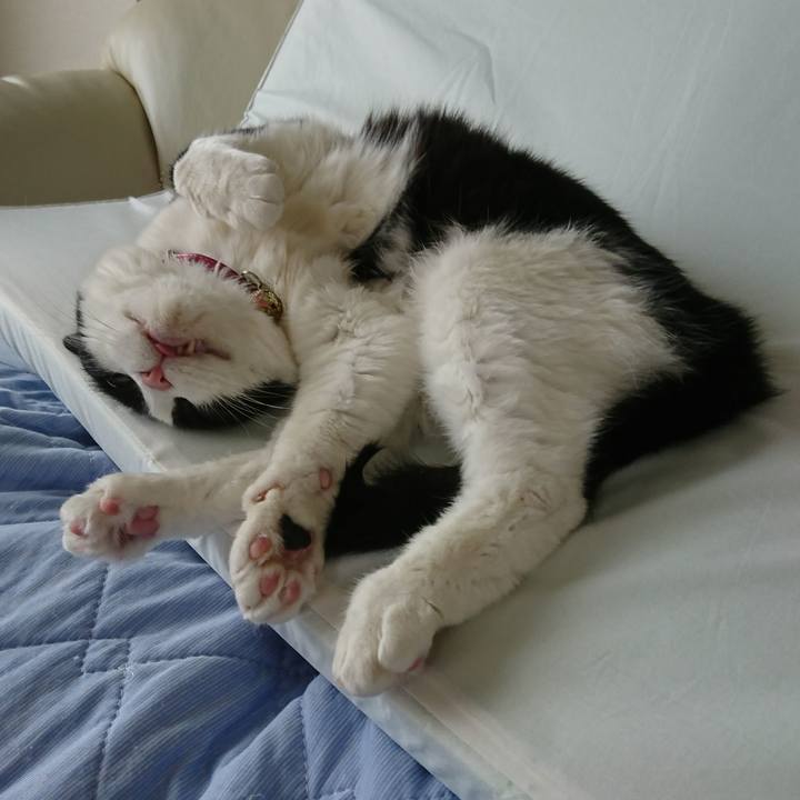 C7462dfe 006a 46b5 9606 a6b9f7af7365 1595718129403