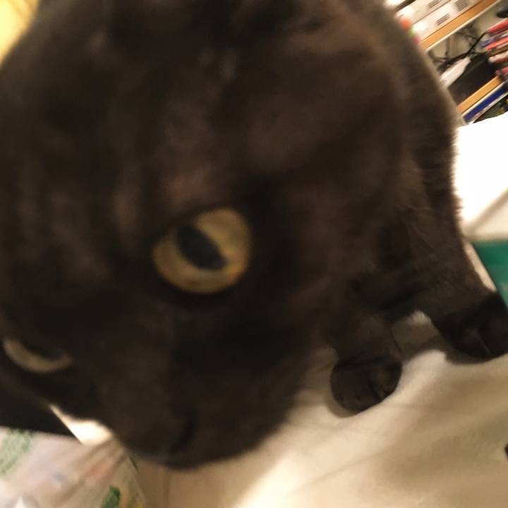 C74664bb 3695 4566 942d 42be66c08a07 1576500445221