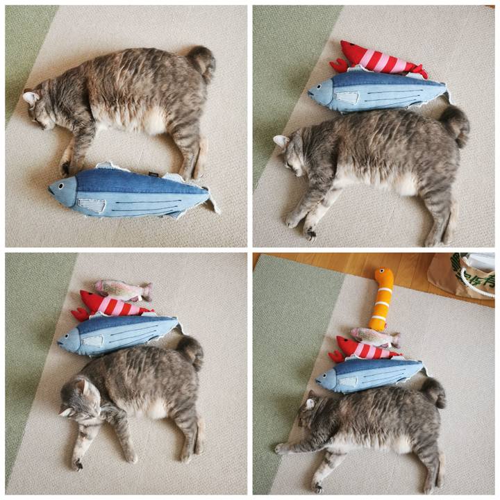 C746b5fe 8731 4965 a89e f492ba258b3d 1627009627559