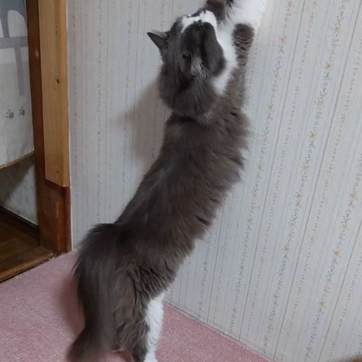 C74714c9 3aa8 4d53 ae2d cabd9b113935 1638185711016