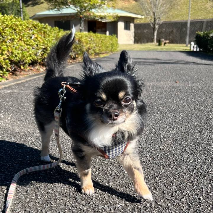 C7471877 2b7d 4f85 81fa 0b5031645323 1733043084452