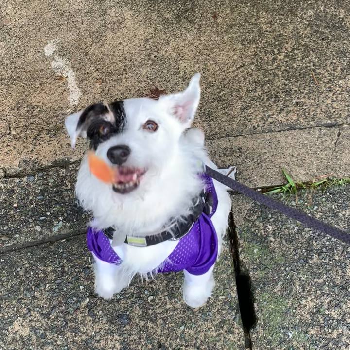 C7471ed2 7780 4e83 9590 f17bf77576b9 1728001510203