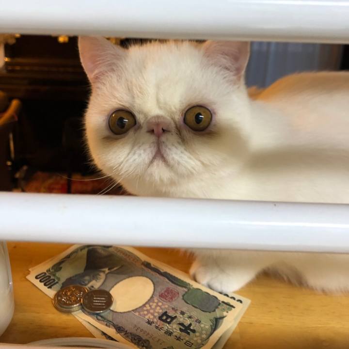 C7472296 f76f 4696 8076 b782445e8142 1563144574492