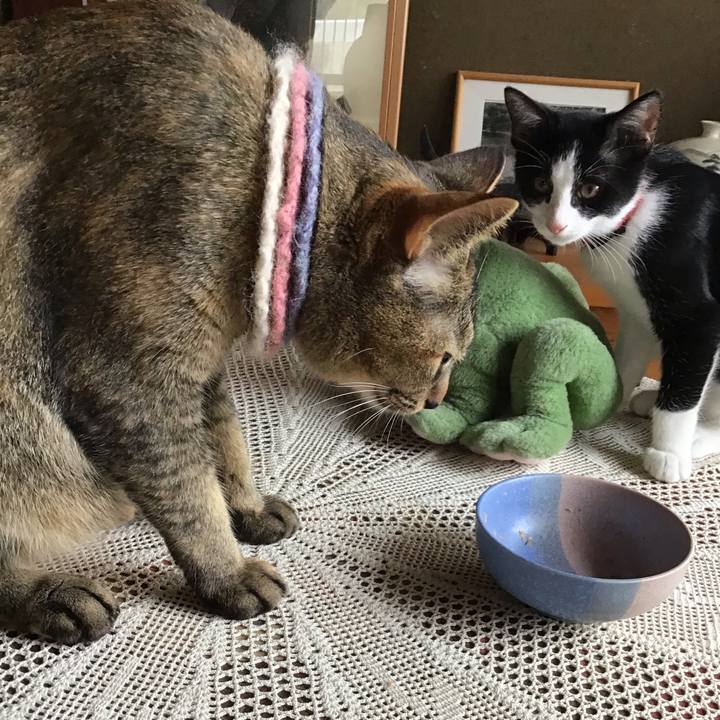 C74735d3 2cdf 4aac bcce c2ddfe459ed7 1627363927608