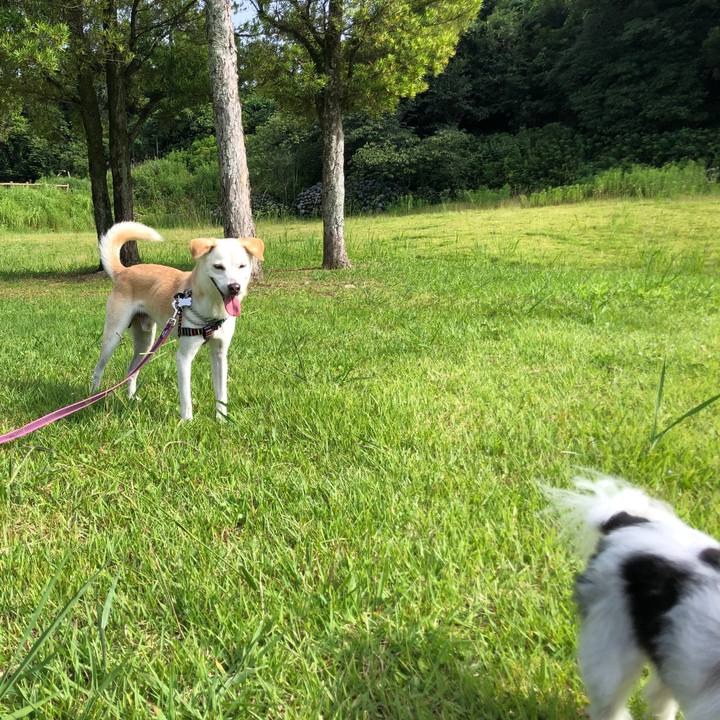 C74736a9 4684 4cf8 98c8 aeef6119d9f0 1629249274057