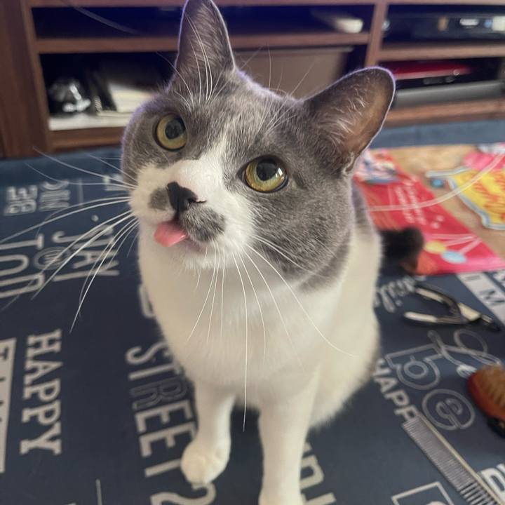 C74737b3 b0e9 4d7e aa82 b16cb7435a0e 1699753133943