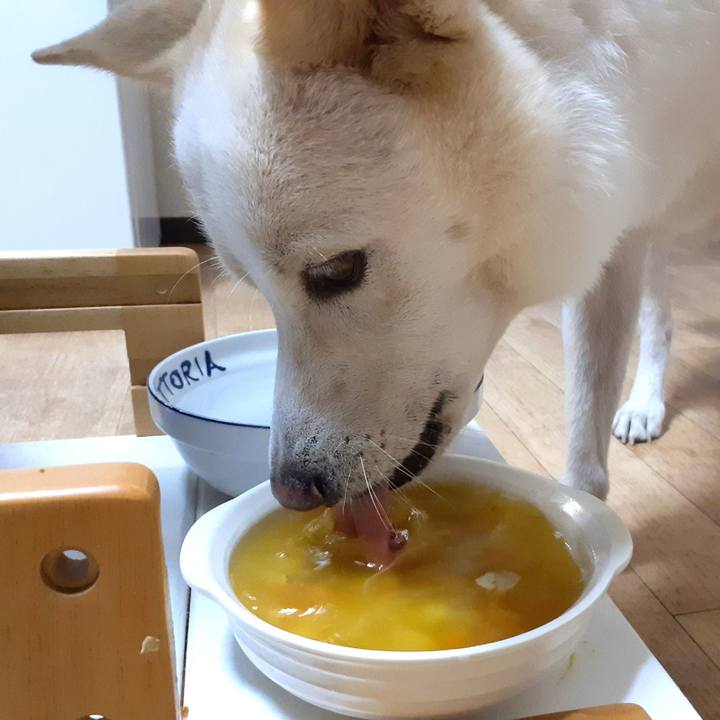 C7473c6e 6495 48d7 95b0 b1c04994f202 1663892946527