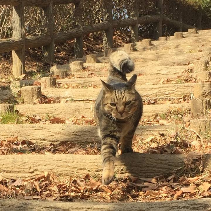 C7476050 6a85 4790 ab3a 66f7c61fc84a 1518793510036